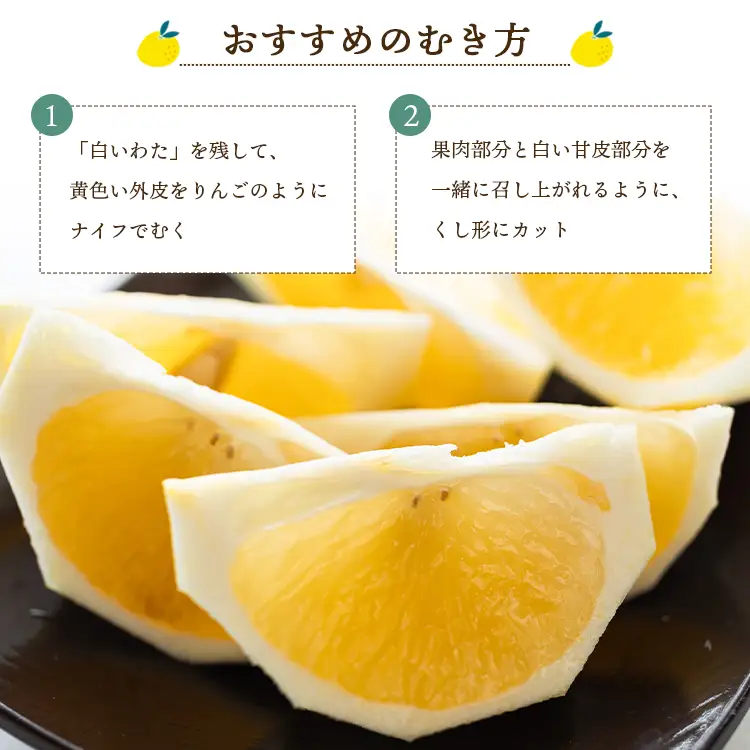 【2027年出荷分】日向夏 ハウス小夏 2.5kg(家庭用) 日向夏 高知県産 kd-0029
