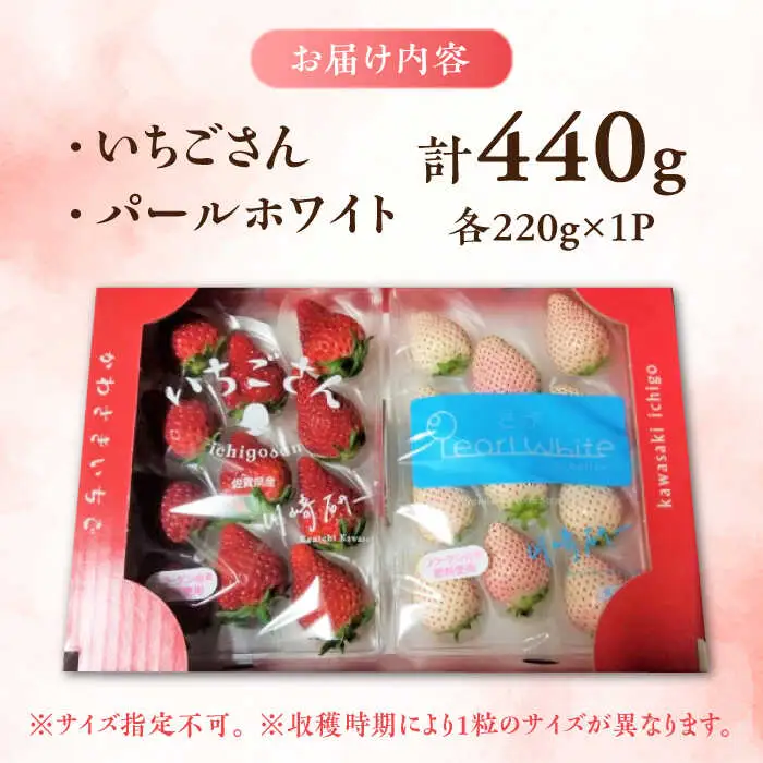 【2027年1月中旬より順次発送】紅白いちごのセット 佐賀県産 いちごさん・パールホワイト各220g / 佐賀県 / かわさきいちご [41ASBJ001]