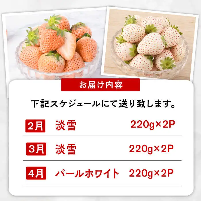 【全3回定期便】白いちご2種（淡雪・パールホワイト）/ いちご イチゴ 苺 果物 フルーツ 定期便 / 佐賀県ふるさと納税 [41AAZZ001]