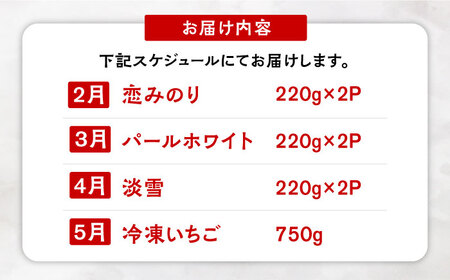 【全4回定期便】希少いちご（恋みのり・パールホワイト・淡雪・冷凍いちご）食べ比べ / 苺 果物 フルーツ / 佐賀県 [41AAZZ003]
