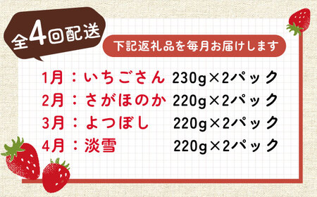【全4回定期便】苺 4品種食べ比べ（いちごさん・さがほのか・よつぼし・淡雪） / 苺 / 佐賀県 / 岸川農園 [41ASAG033]