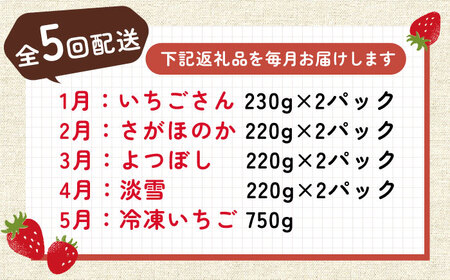 【全5回定期便】佐賀県産 いちご4品種（いちごさん・さがほのか・よつぼし・淡雪）と冷凍いちご食べ比べ / 佐賀県 / 岸川農園 [41ASAG039]