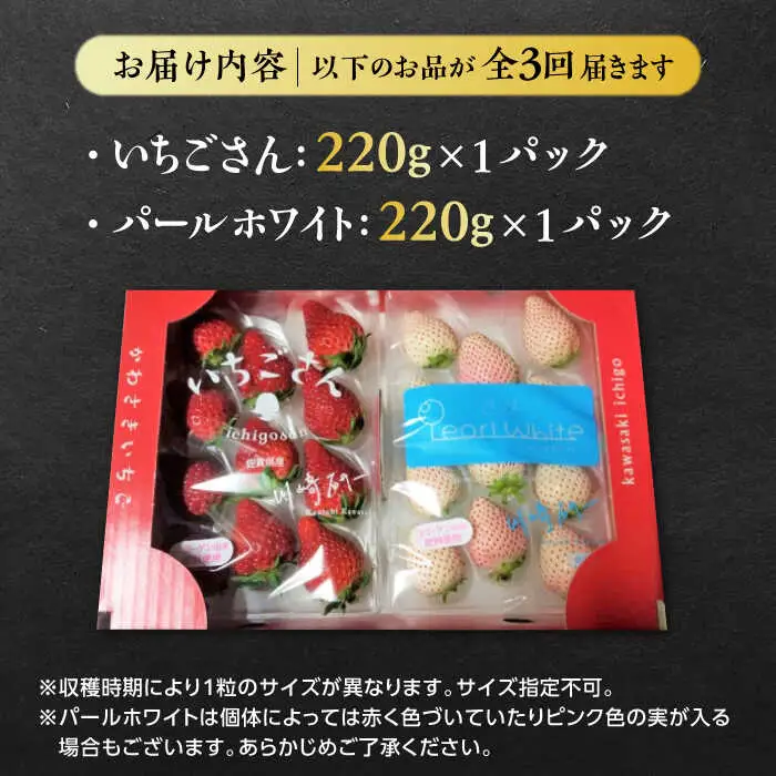 【全3回定期便】いちごさん・パールホワイト各220g 詰め合わせ / 佐賀県 / かわさきいちご [41ASBJ008]