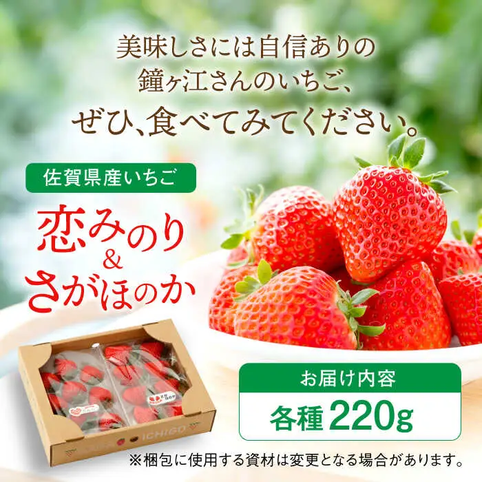 【2027年1月より順次発送】恋みのり・さがほのか 各220g 詰め合わせセット / 佐賀県 / 鐘ヶ江農園 [41ASBK008]