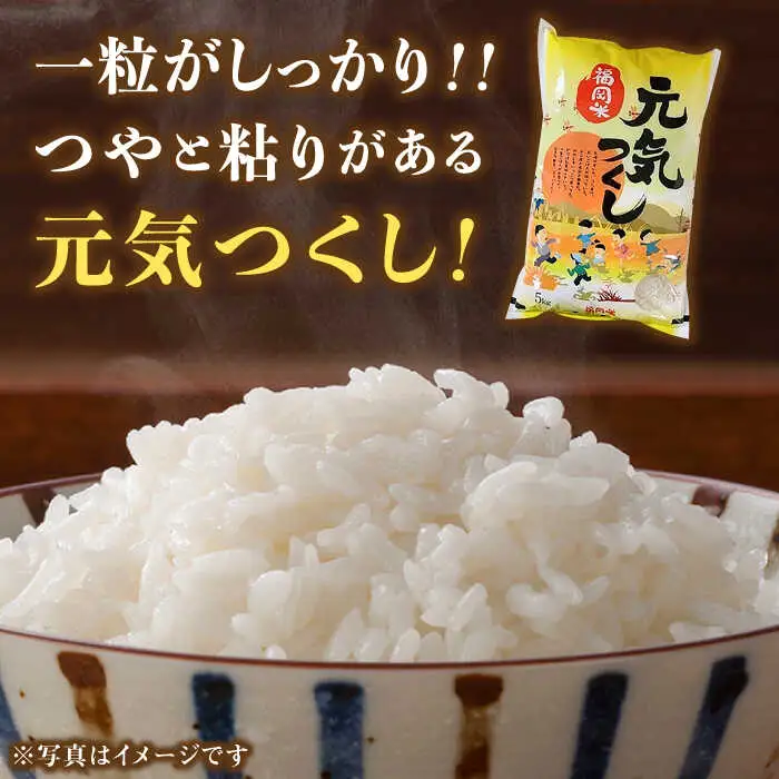 【令和7年産】福岡県産ブランド米「元気つくし」無洗米 5kg【2025年11月以降順次発送】 [ABDD002]