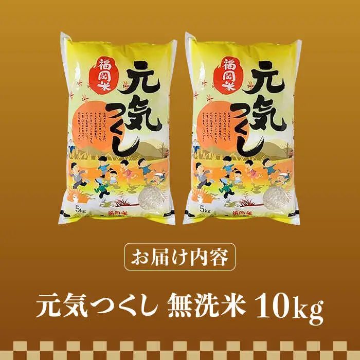 【令和7年産】福岡県産ブランド米「元気つくし」無洗米 10kg (5kg×2袋)【2025年11月以降順次発送】 [ABDD004]