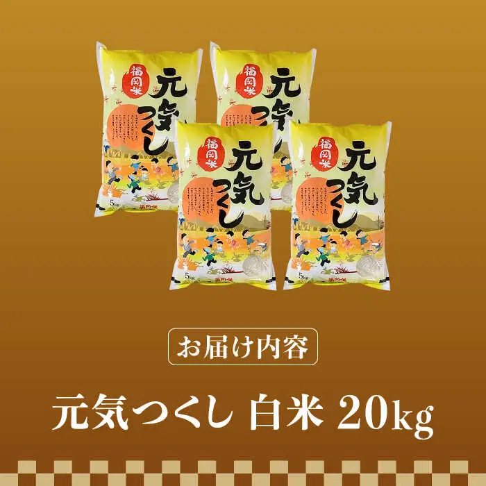 【令和7年産】福岡県産ブランド米「元気つくし」白米 20kg (5kg×4袋)【2025年11月以降順次発送】 [ABDD005]