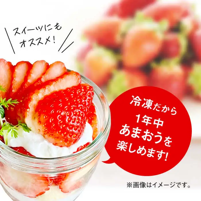 いちご 福岡県産 約500g×2袋 合計約1kg [ABDG005] 果物 あまおう