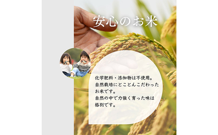 ミルキークイーン いのちの壱 食べ比べ セット 10kg ( 5kg ×2袋) ミルキークイーン いのちの壱
