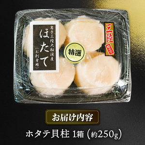 ホタテ貝柱 冷凍 250g ほたて 帆立 貝柱 貝 海鮮 魚貝類 魚介類 ホタテバター 醤油 バター お刺身 刺身 さしみ ご飯 おかず 三陸産 岩手県 大船渡市