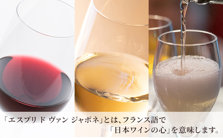 ワイン 飲み比べ 定期便 2ヶ月 サッポロ 岡山 ワイナリー お酒 ぶどう ワイン 