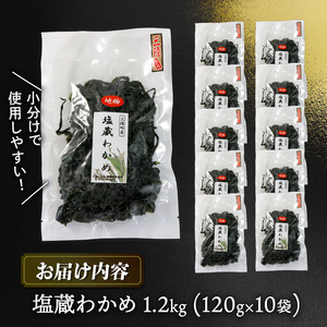 塩蔵わかめ 1.2Kg 120g×10袋 わかめ 塩蔵 海鮮 海藻 魚貝類 魚介類 小分け みそ汁 スープ 酢の物 岩手県 大船渡市