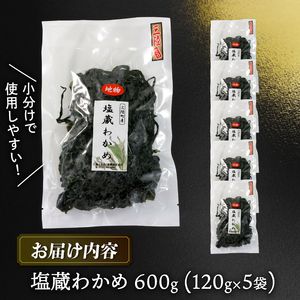塩蔵わかめ 120g 5袋 わかめ 塩蔵 海鮮 海藻 魚貝類 魚介類 小分け みそ汁 スープ 酢の物 岩手県 大船渡市