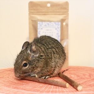【小動物ペットに】足柄産ブルーベリーのかじり木100g【 ペット 神奈川県 南足柄市 】