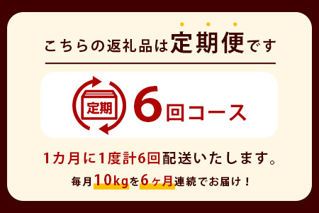 【お米の定期便6回】那賀町のお米 コシヒカリ 10kg×6回 計60kg【徳島県 那賀町 相生 国産 白米 精米 コシヒカリ 10kg 10キロ 60kg 60キロ 産地直送】YS-16