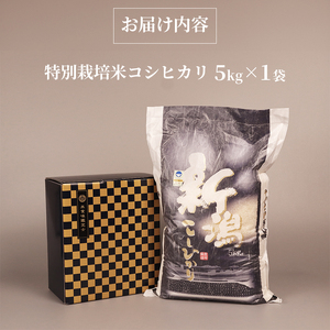 R7年産先行予約 コシヒカリ 5kg 特別栽培米 コンテスト 入賞米 米 おこめ お米 ブランド米 ご飯 ごはん オニギリ お弁当 玄米 対応可 kome 送料無料 数量限定 農家直送 産地直送 国産 川瀬農園 新潟 新発田 D71_02