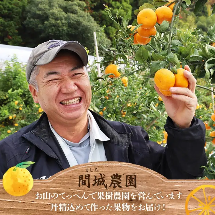 【1月中旬〜2月発送】寿太郎みかん 4kg みかん 果物 ms-0086