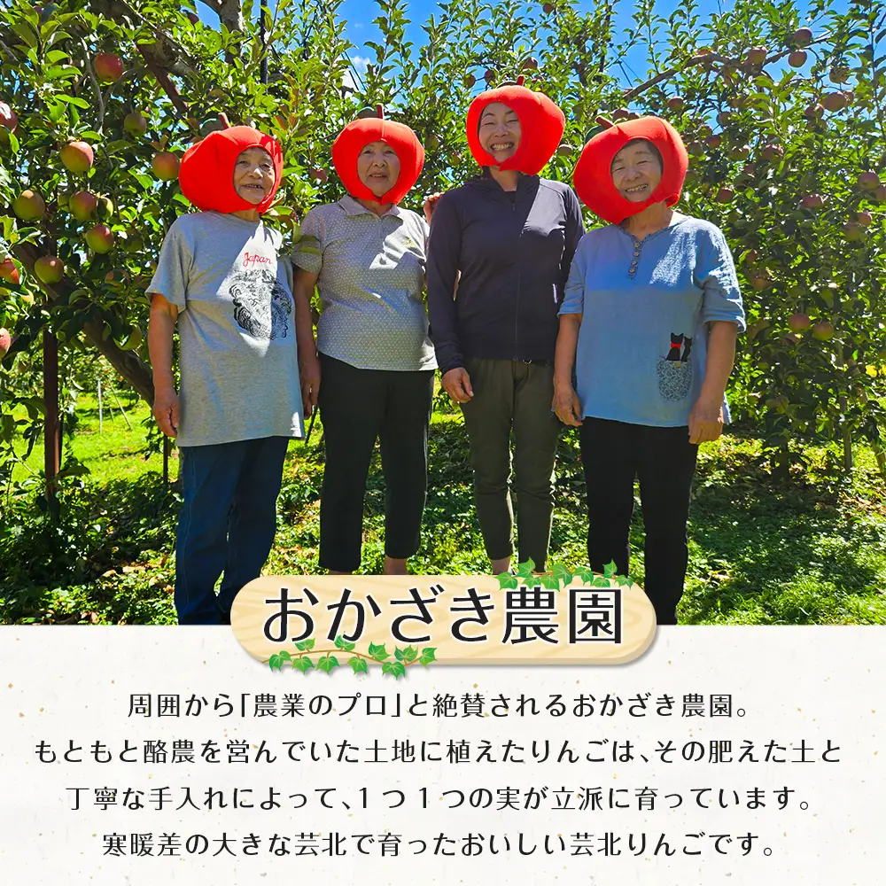 ≪10月中旬以降発送≫りんご 訳あり ご家庭用 5kg おかざき農園の芸北りんご 農家直送 秋ばえ 陽光 ぐんま名月 あいかの香り ふじ_OK097_002