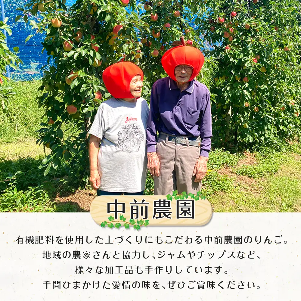 ≪10月中旬以降発送≫りんご 訳あり ご家庭用 約5kg 中前農園の芸北りんご 農家直送 シナノスイート ぐんま名月 ジョナゴールド ふじ_NA099_002