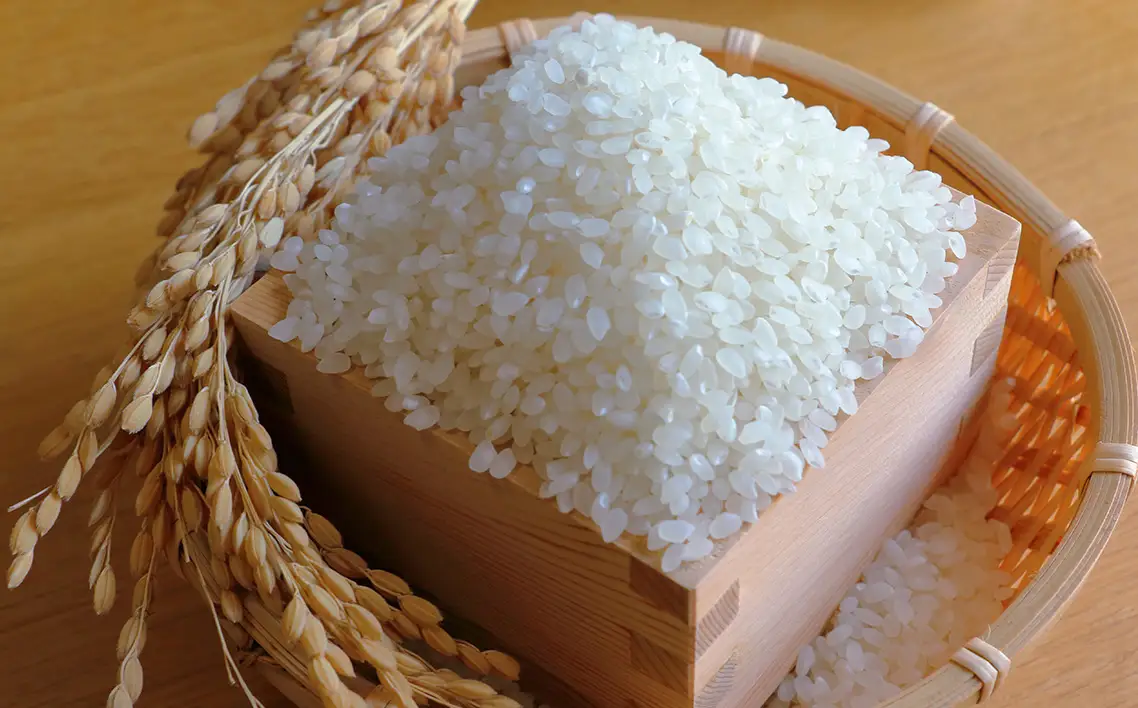 【令和7年度産】松島産ひとめぼれ5kg×6袋 No.086