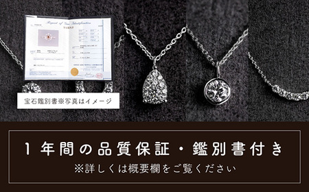 ダイヤ ダイヤモンド ネックレス 0.12ct ジュエリー アクセサリー ペンダント 宝石 プラチナ ギフト プレゼント 贈り物 記念日 お祝い 誕生日 人気 高級 山梨県 西桂町【n0478_liz_C】