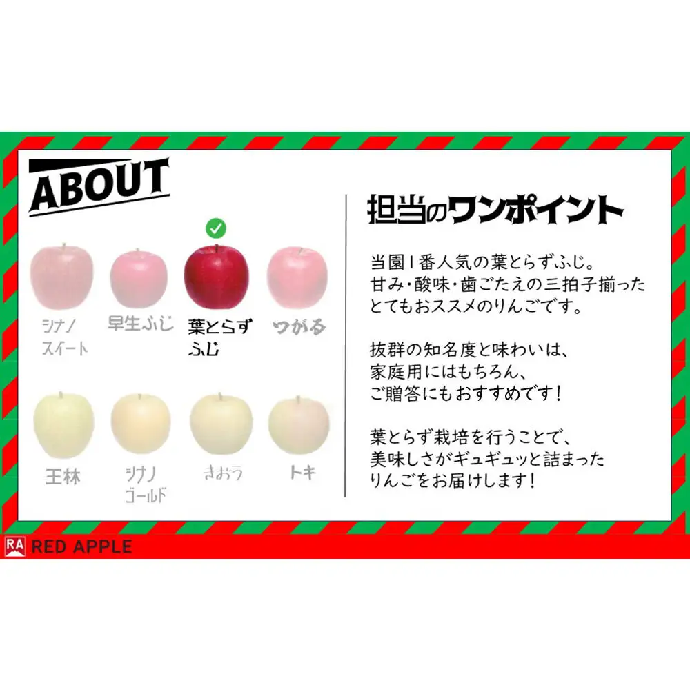 りんご 葉とらずふじ 約2.5kg【贈答用】りんご
