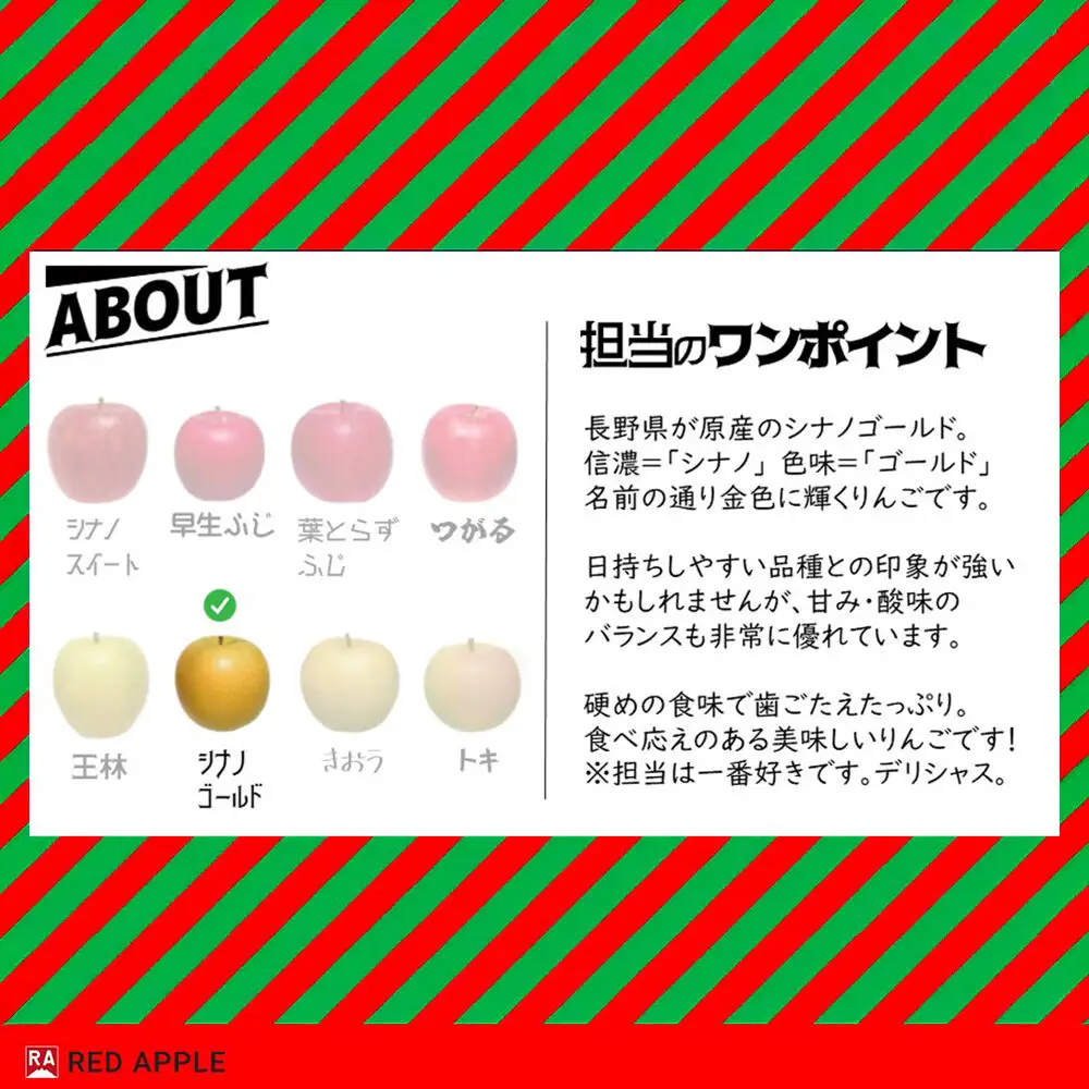【26年11月～発送】りんご【訳あり】家庭用 シナノゴールド 約10kg 先行受付