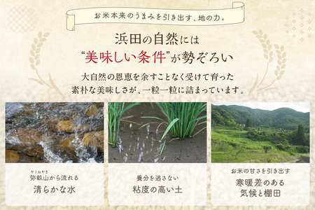 【令和6年度産】アイガモロボット米 秘境奥島根弥栄つや姫 5kg 米 お米 つやひめ お取り寄せ 特産 精米 白米 ごはん ご飯 コメ 新生活 応援 準備【090_1877】