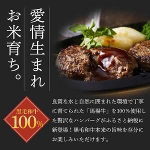 ハンバーグ 宮城県産黒毛和牛100％ハンバーグ 12個セット 馬場牛