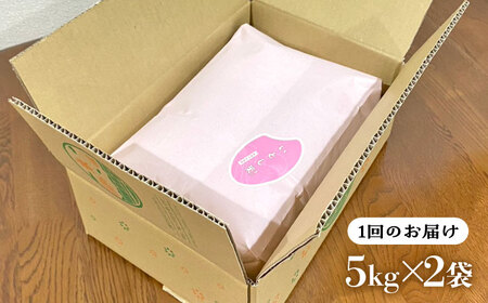 【全6回定期便】糸島産 いとし米 厳選夢つくし 10kg 糸島市 / 三島商店 [AIM048] 米 白米