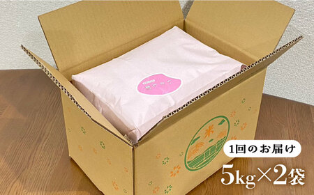 【全12回定期便】いとし米 厳選夢つくし 10kg×12回 (糸島産) 糸島市 / 三島商店 [AIM049] 米 白米
