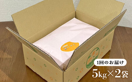 【全6回定期便】いとし米 厳選ひのひかり 10kg×6回(糸島産) 糸島市 / 三島商店 [AIM051] 米 白米