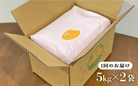 【全12回定期便】いとし米 厳選ひのひかり 10kg×12回(糸島産) 糸島市 / 三島商店 [AIM052] 米 白米
