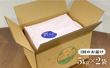 【全12回定期便】いとし米 厳選ブレンド 10kg×12回(糸島産) 糸島市 / 三島商店 [AIM055] 米 白米