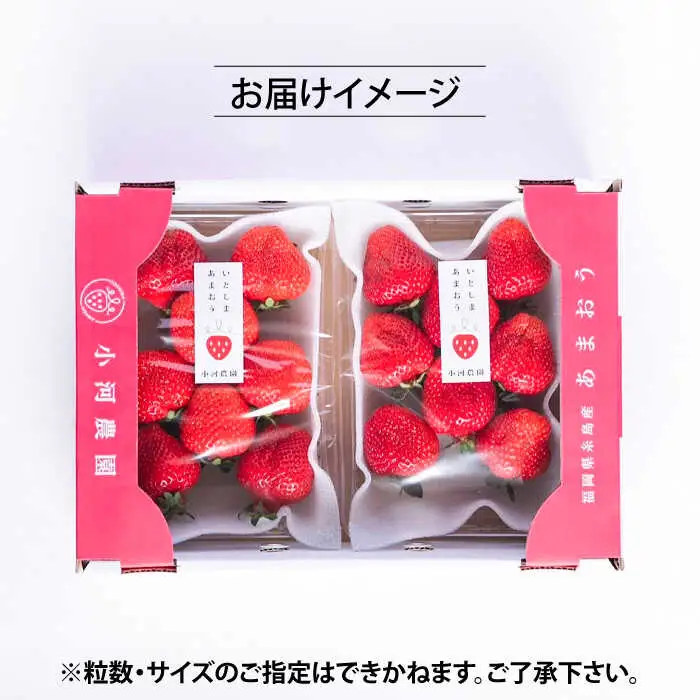 【先行受付】糸島産 完熟あまおう 280g×2パック (デラックスサイズ) 【2027年1月以降順次発送】糸島市 / 小河農園 いちご フルーツ 果物 [AJN001]