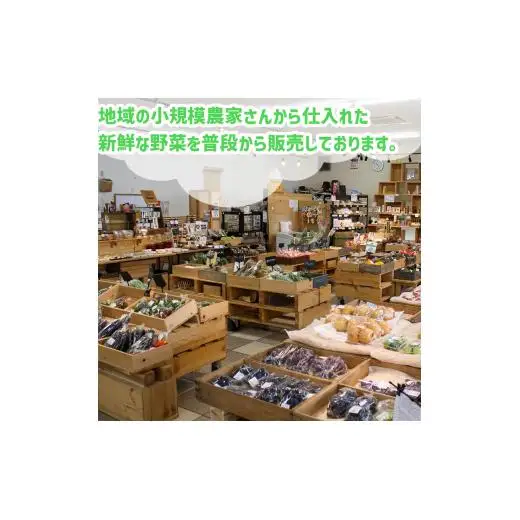 【早期予約】 野菜定期便10ヶ月