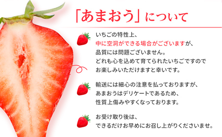 【定期便】博多あまおう 福岡県JAグループのブランドあまおういちご 1080g（約270g×4パック）×2回 ※2026年2月・3月お届け アフター保証 いちご 博多あまおう JAグループ  おすすめ 苺 大木町 JA福岡大城 不揃い フルーツ 果物 AG013