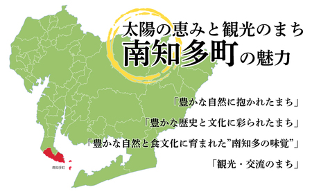 南知多町・美浜町共通返礼品 魚太郎名物 とろさば 入 自家製 ひもの 5種 おまかせセット 魚魚魚