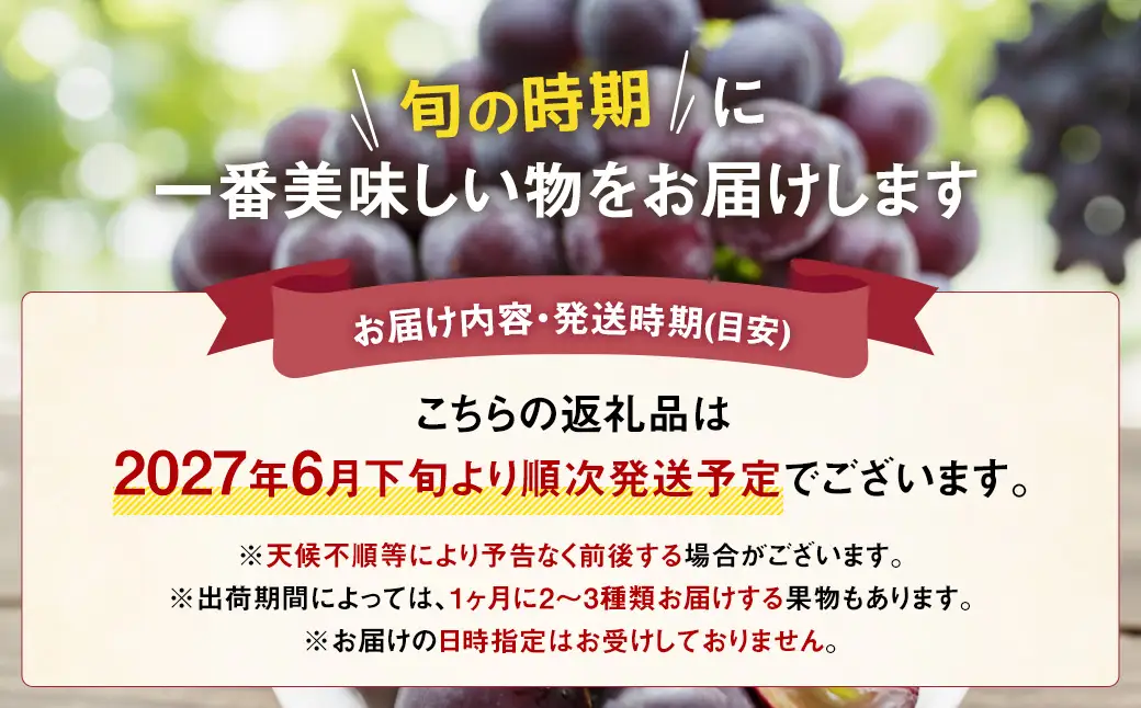 【先行受付】【6回定期便】 フルーツ王国 山梨県産 6種セット ／ えべし フルーツ 果物 くだもの 貴陽 すもも もも 桃 梨 なし ぶどう ブドウ 葡萄 シャインマスカット キウイ 新鮮 果実 産地直送 山梨県 中央市 【2027年6月中旬-2028年1月下旬発送予定】