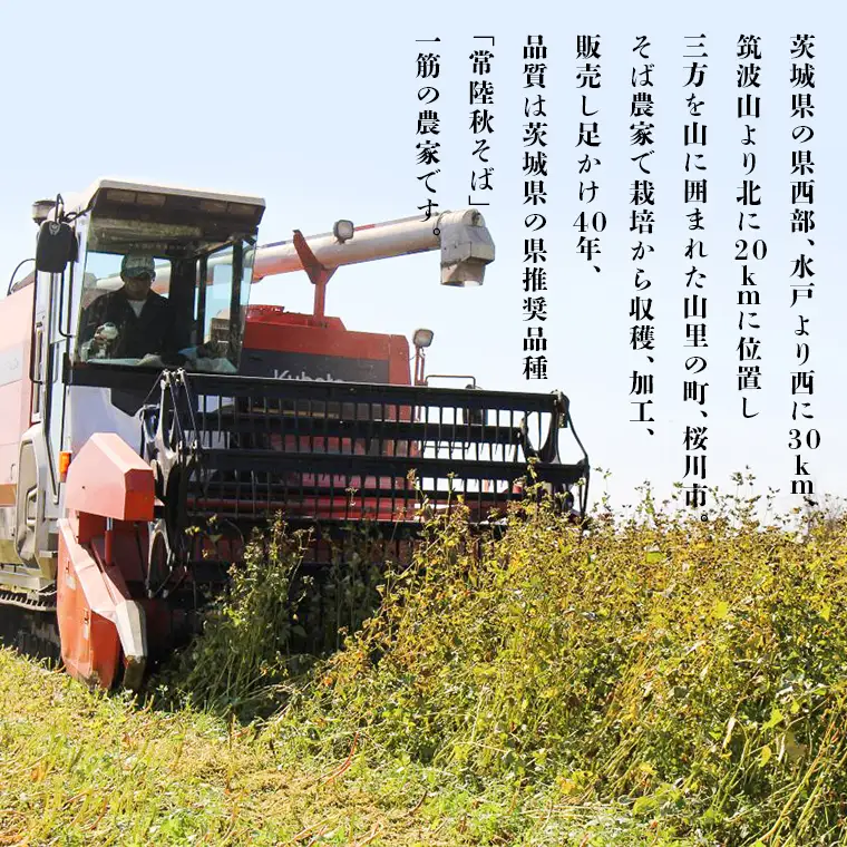 ＜お歳暮熨斗付＞八割乾麺セット 茨城県産【常陸秋そば】石臼挽きそば粉使用 贈答用 200g×4パック【12月上旬より発送開始】 お歳暮 御歳暮 そば 蕎麦 乾麺 常陸秋そば 茨城県産 国産 農家直送 [BE038sa]	