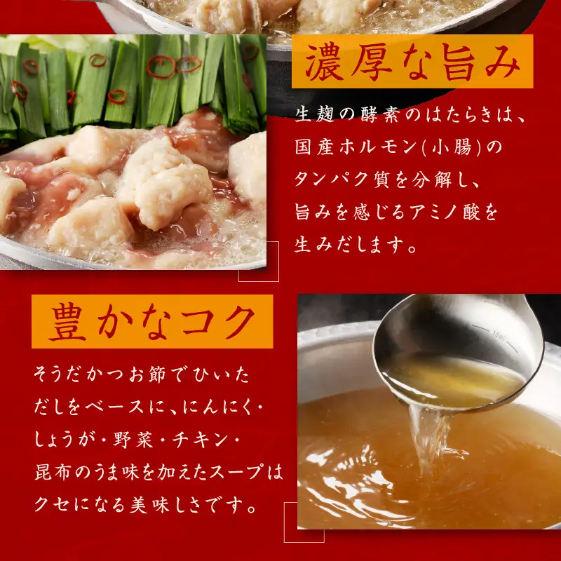 牛もつ鍋セット 9人前