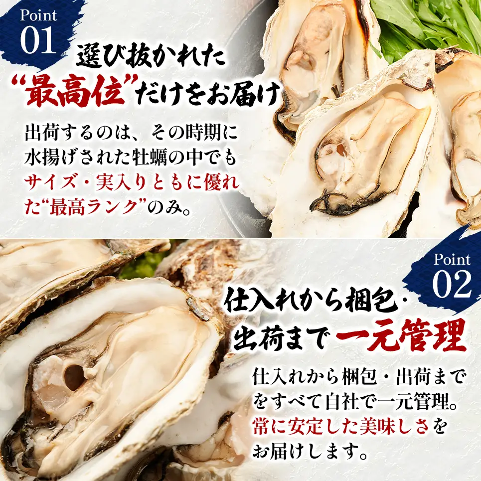殻付き 牡蠣 LLサイズ 20個 【光輝】マルえもん 生食用 牡蠣