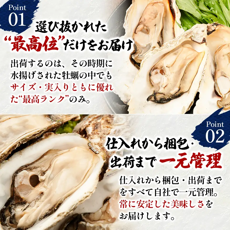 北海道 厚岸産 ブランド牡蠣 マルえもん 殻付き 牡蠣 LLサイズ 14個 【光輝】 [ 魚貝類 生牡蠣 海鮮 海の幸 生食用牡蠣 生食用 生食用殻付き牡蠣 濃厚 甘み  オイスター ]  