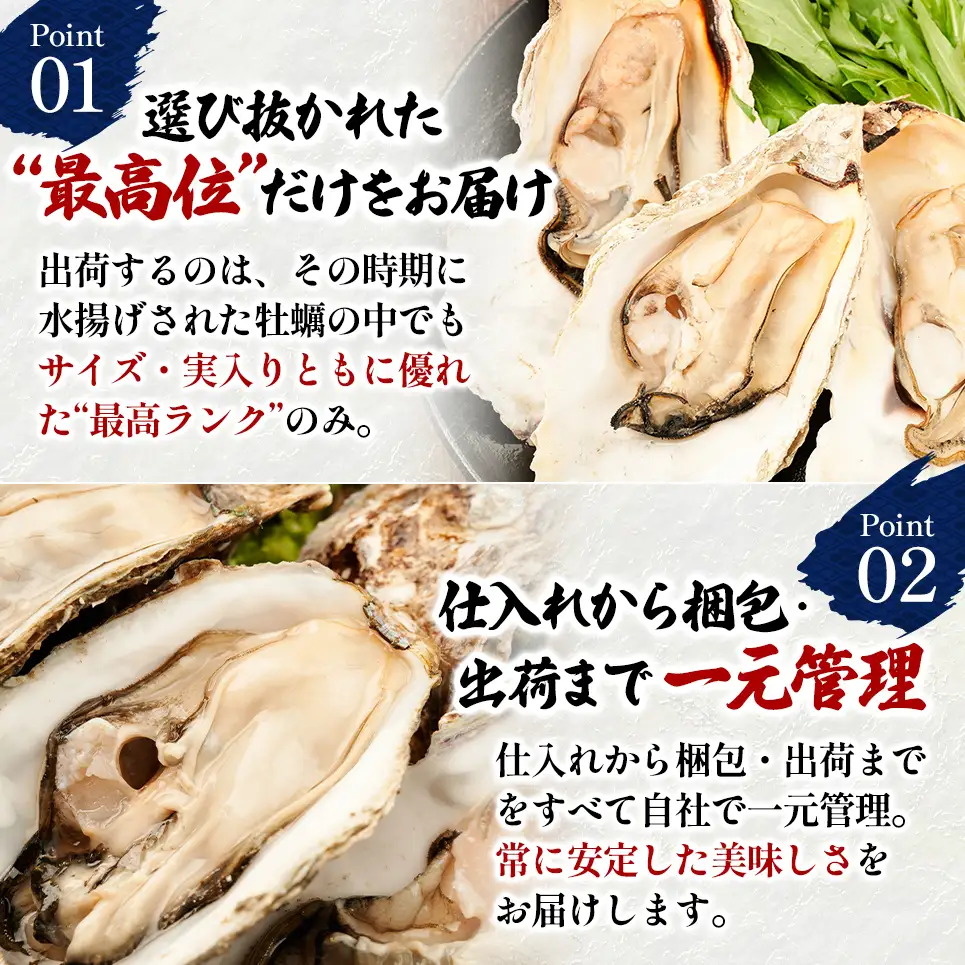 北海道 厚岸産 ブランド牡蠣 マルえもん 殻付き 牡蠣 Lサイズ 30個 【光輝】 [ 魚貝類 生牡蠣 海鮮 海の幸 生食用牡蠣 生食用 生食用殻付き牡蠣 濃厚 甘み  オイスター ]  