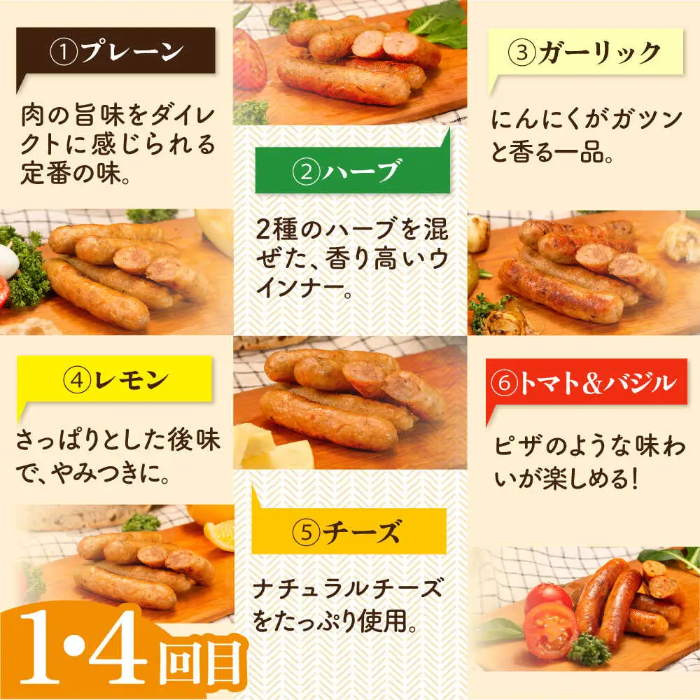 【全6回定期便】 ウインナー / ハンバーグ / ハム 月替り セット 糸島市 / 志摩スモークハウス 生ハム ベーコン [AOA039]
