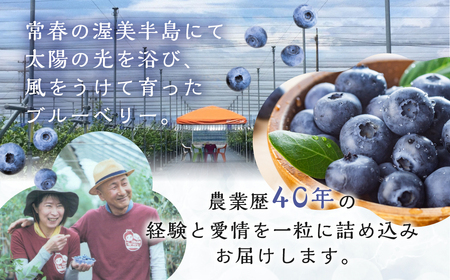 【定期便】完熟ブルーベリー 1kg　2回定期便