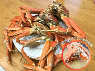 【11月～2月発送】【訳あり】新潟県村上市寝屋漁港産　本ズワイガニ夫婦セット 約3kg（雄 約2kg＋セコガニ 約1kg） 1079003