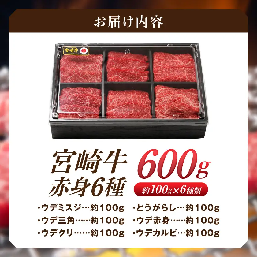 宮崎牛赤身6種600g〔16-2601〕_(都城市) 牛肉 ウデミスジ ウデ三角 ウデクリ とうがらし ウデ赤身 ウデカルビ 約100g 計600g 6種類セット赤身
