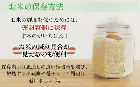 【坂東市産】【令和7年産米】茨城コシヒカリ5kg＋茨城ミルキークィーン5kgのセット ／ こしひかり ミルキークイーン ミルキー こしひかり 令和7年 新米 米 お米 おこめ こめ コメ 精米 白米 ご飯 国産米 10kg 10キロ おいしい お取り寄せ 産地直送 産直 坂東市産 茨城県産 茨城産 茨城県 特産品 No.480
