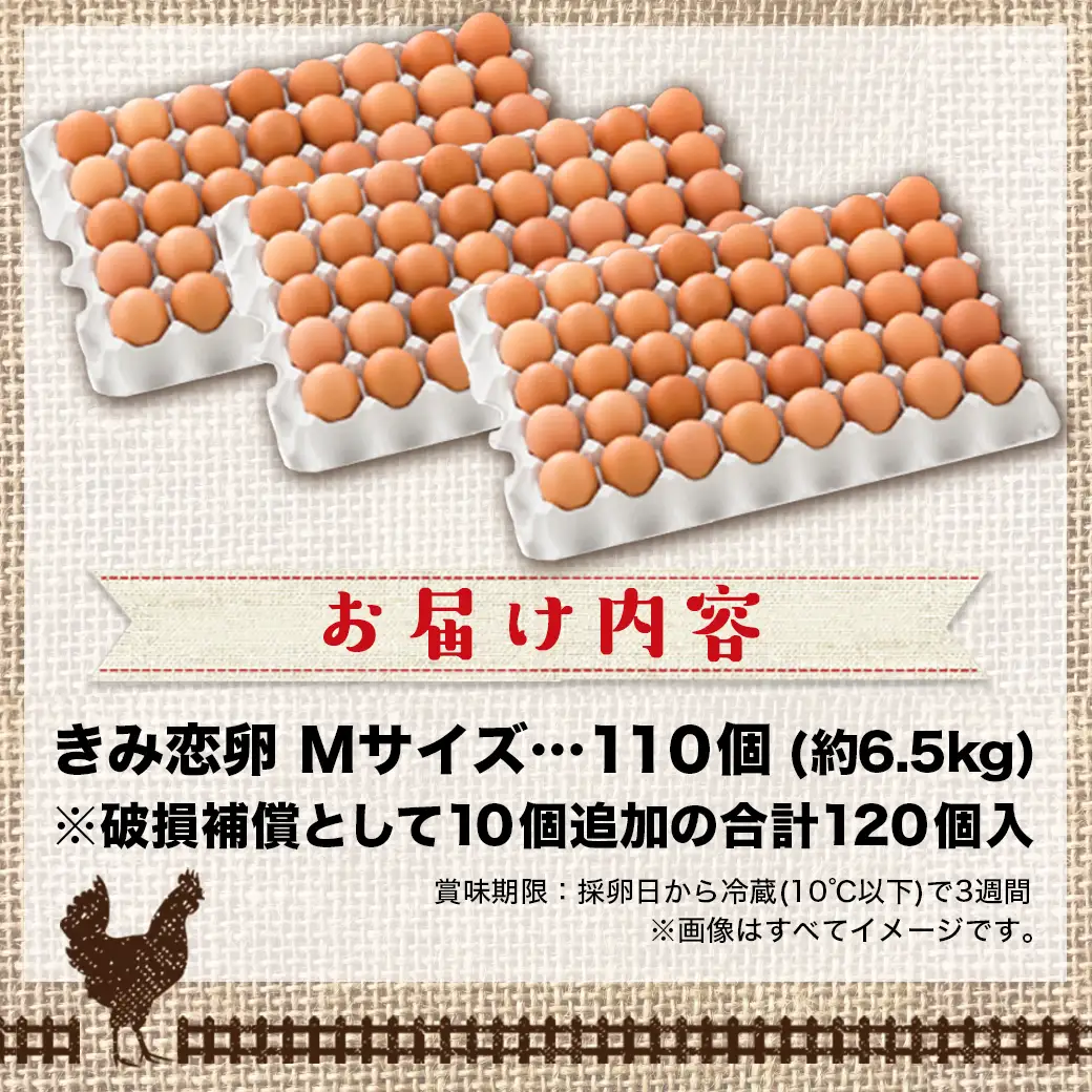 新鮮赤卵「きみ恋卵」110個〔17-29-011-110〕_(都城市) 河中農園 味が濃くてまろやかなたまご 玉子 破損補償 お菓子作り